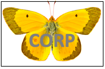 CORP project logo
