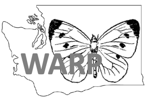 WARP project logo