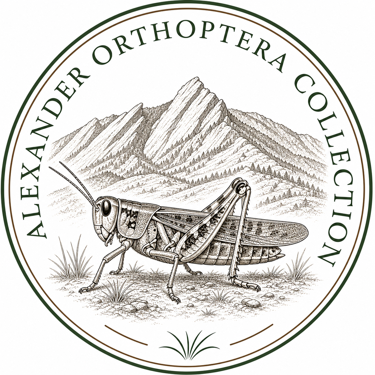 Alexander project logo